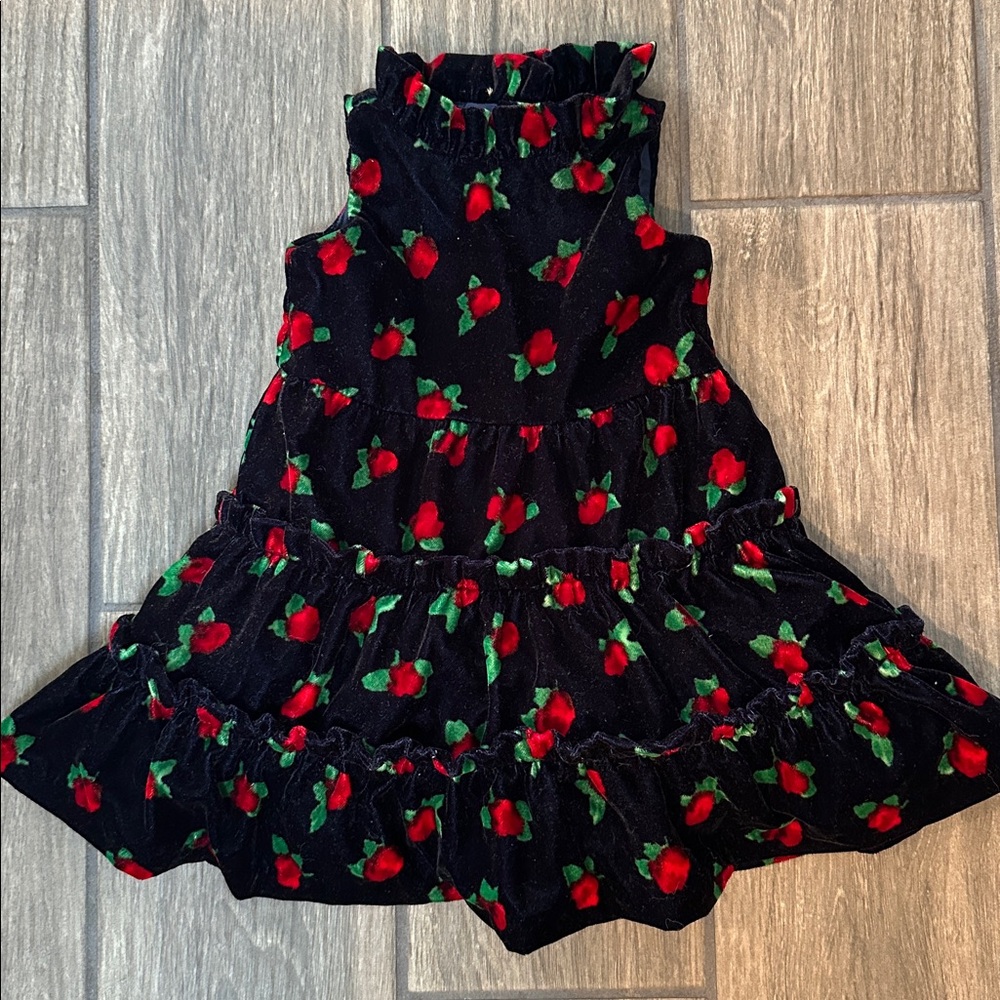 Janie and Jack Navy Velvet Dress with Red Roses and Green leaves. Size 6-12 mos